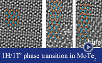 Grain Boundary Formation
