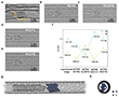 Atomic-Scale Transformation of Nickel Nanocrystals to Carbides Observed via TEM