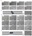 Atomic-Scale Transformation of Nickel Nanocrystals to Carbides Observed via TEM