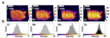 click to enlarge 2D microXRF maps showing homogeneous distribution of Cl, Mn, Mo, Zn with corresponding intensity histograms