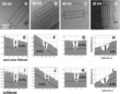 Vitrified TMV virus strand as a test sample to measure the amplitude contrast at different voltages: low-resolution TEM images and profiles.