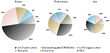 Pie charts: Percentage of materials examined in Europe, North America and Asia