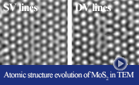 thumbnail-defects in MoS2