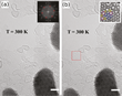 hydrocarbon adsorbates at atomic resolution on graphene