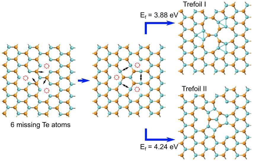 Defect type Trefoil 1+2