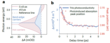 Two graphs illustrating hot carrier transport. The first shows a global fitting analysis of spectral contributions, and the second compares THz photoconductivity decay with the transient absorption signal's peak energy.