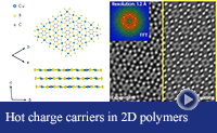 new polymer