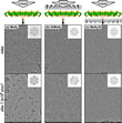 Images of carbon nitride formation