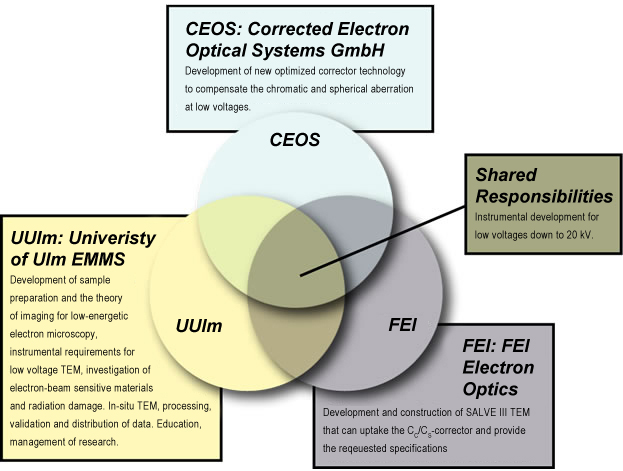 Graphic containing joint and single tasks: the partners of the SALVE III projec