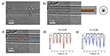 TEM Analysis of Selenium NWs inside CNTs