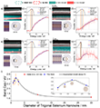 STEM-EELS bandgap analysis of Se NWs in BNNTs