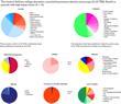 High impact factor publications in detail, analysis of journals, institutions, TEM methods (TEM vs. STEM), instrument manufacturers, Cc/Cs vs. Cs only correctors, and detailed analysis of materials and 2D materials