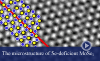 TEM image and model (overlaid) of a boundary in Se-deficient MoSe2